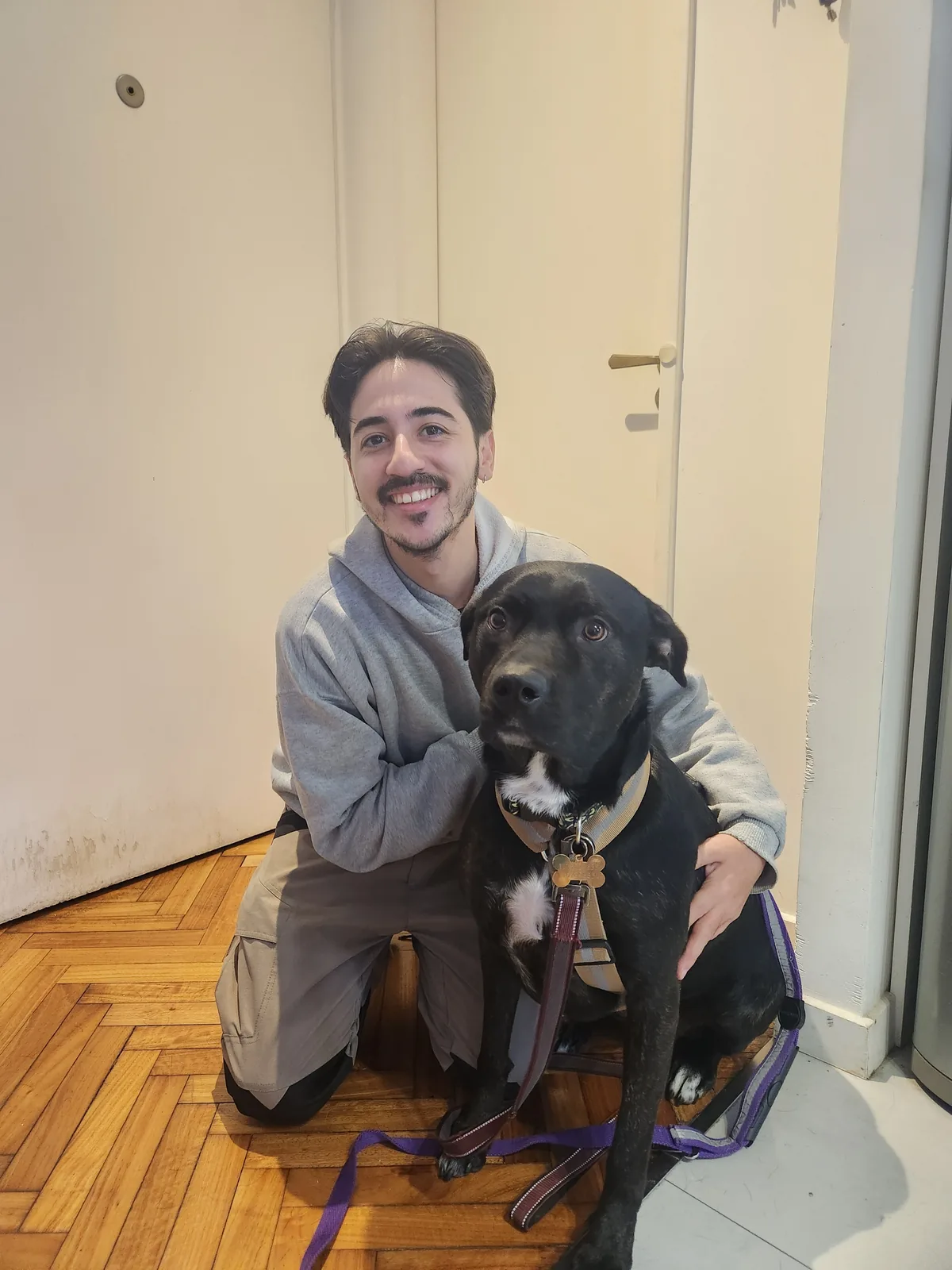 Educación canina a domicilio en Zona Oeste